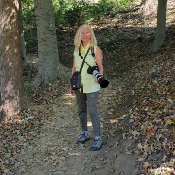 Poshmark Authenticate Verified ReSeller -- 5 Star Seller - Picture 4 of 12